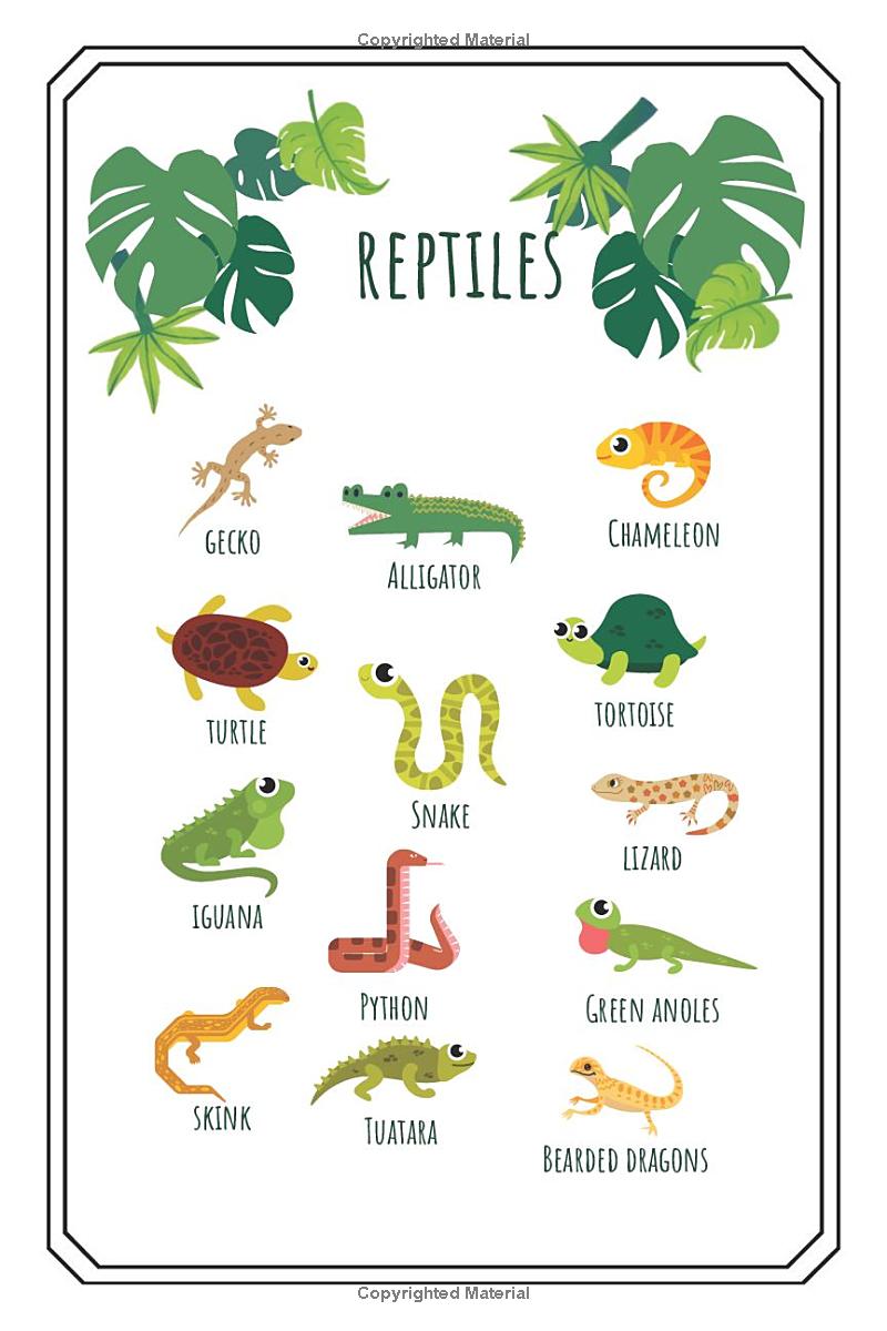 "Animal Alphabet Adventures: A Fun & Educational Coloring Book" Learning book for kids,creative activities: "Learn, Count & Solve Puzzles with A-Z Animals!" - The Ginger Toy Shop